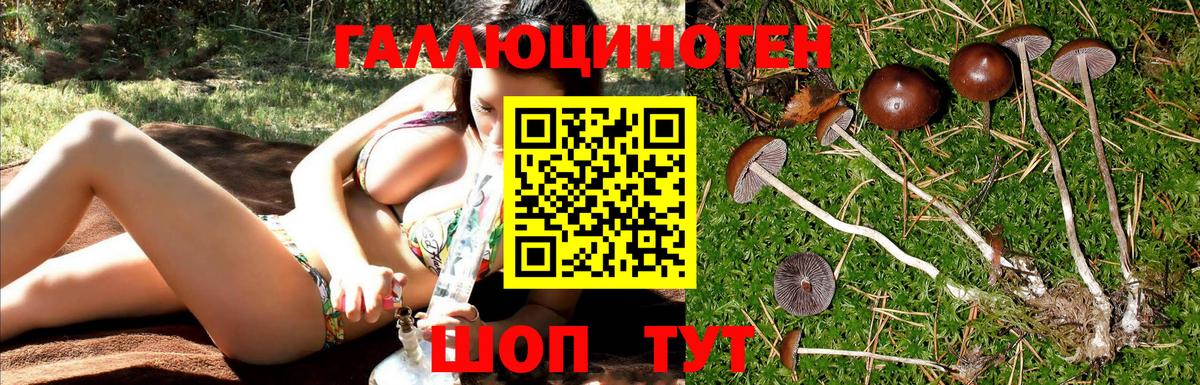 Галлюциногенные грибы MAGIC MUSHROOMS  Вход с VPN  магазин продажи наркотиков  Дзержинский 